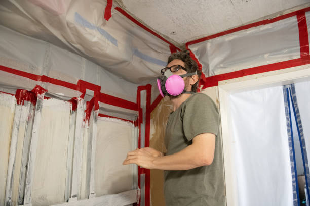Best Environmental Consulting for Mold Prevention  in Pine Manor, FL