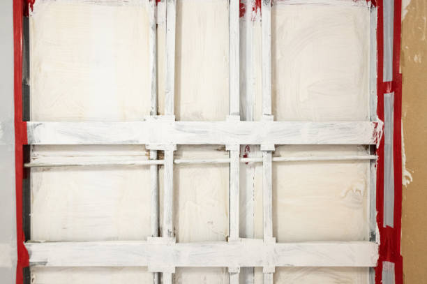  Pine Manor, FL Mold Removal Pros