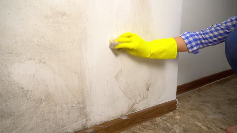 Best Air Quality Testing for Mold Spores  in Pine Manor, FL